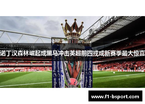 诺丁汉森林崛起成黑马冲击英超前四或成新赛季最大惊喜